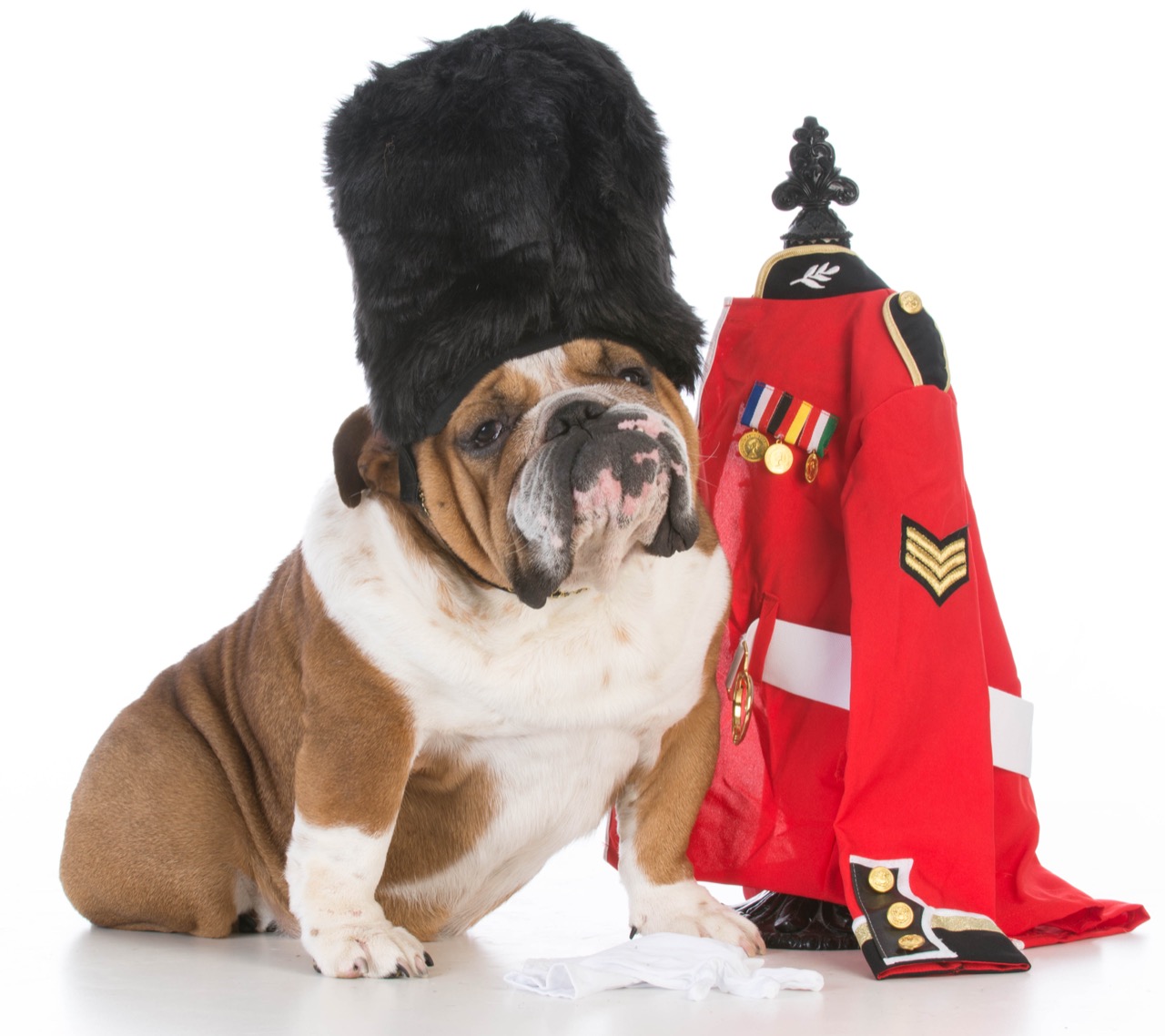 Porkies, Bugger All, & Galdem: British Slang