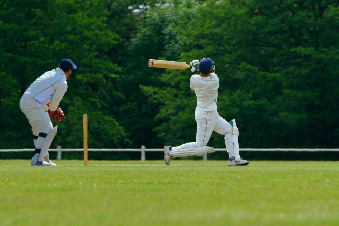 Grasshopper, Wasp, Beetle, and Cricket: Which one is also a Sport? Cricket Trivia