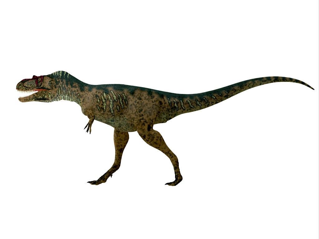 Albertosaurus: The Ferocious Predator Quiz