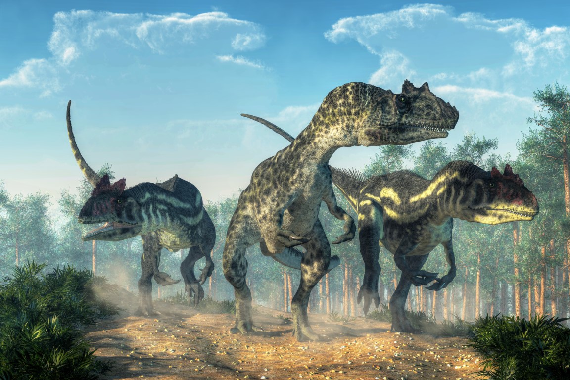 Test Your Knowledge About Allosaurus - The Fierce Jurassic Predator