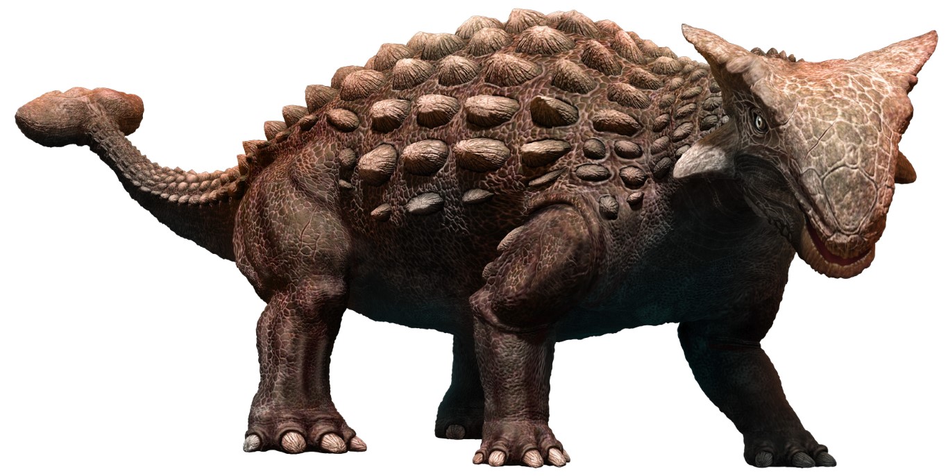 Ankylosaurus Quiz: How Much Do You Know About the Armored Dinosaur?