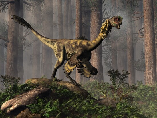 The Oviraptor Quiz: Test Your Knowledge of this Mysterious Dinosaur