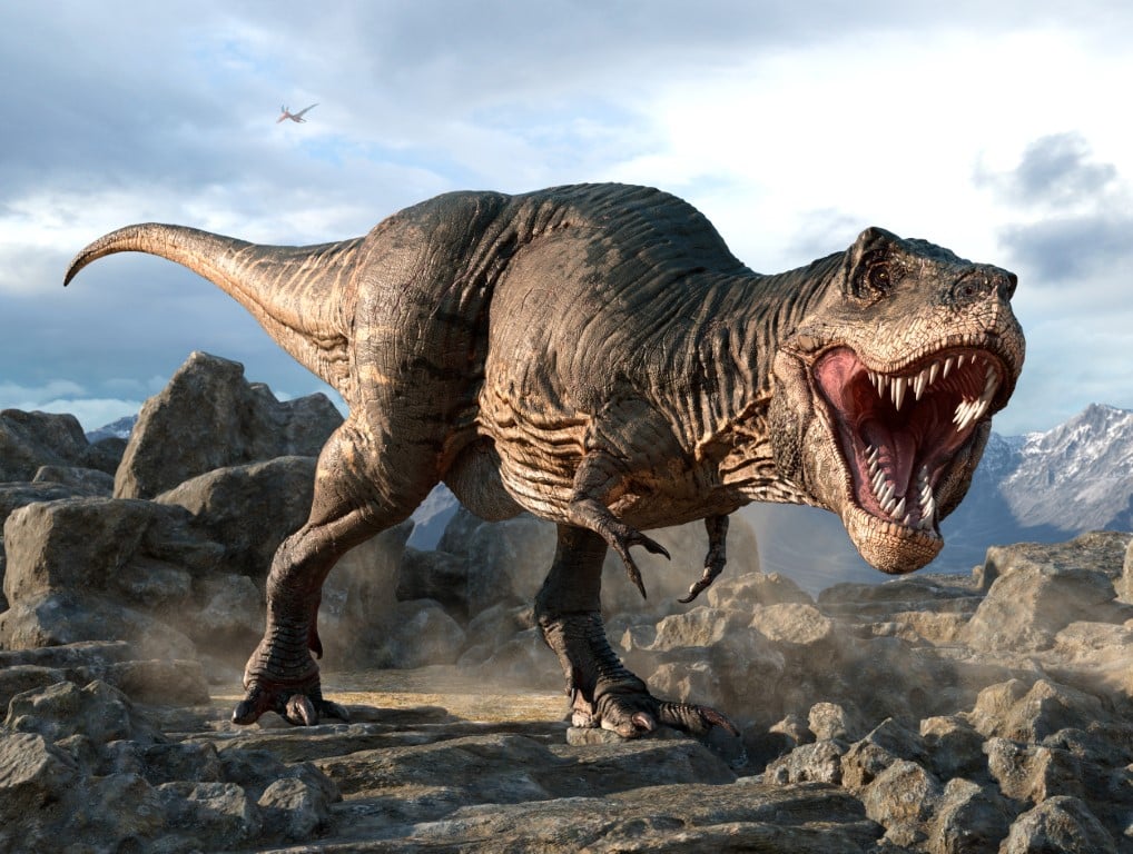 Tyrannosaurus Rex Trivia: How Much Do You Know About the King of Dinosaurs?