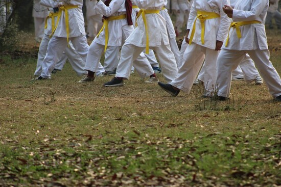 The Ultimate Fujian White Crane Quiz: Test Your Knowledge