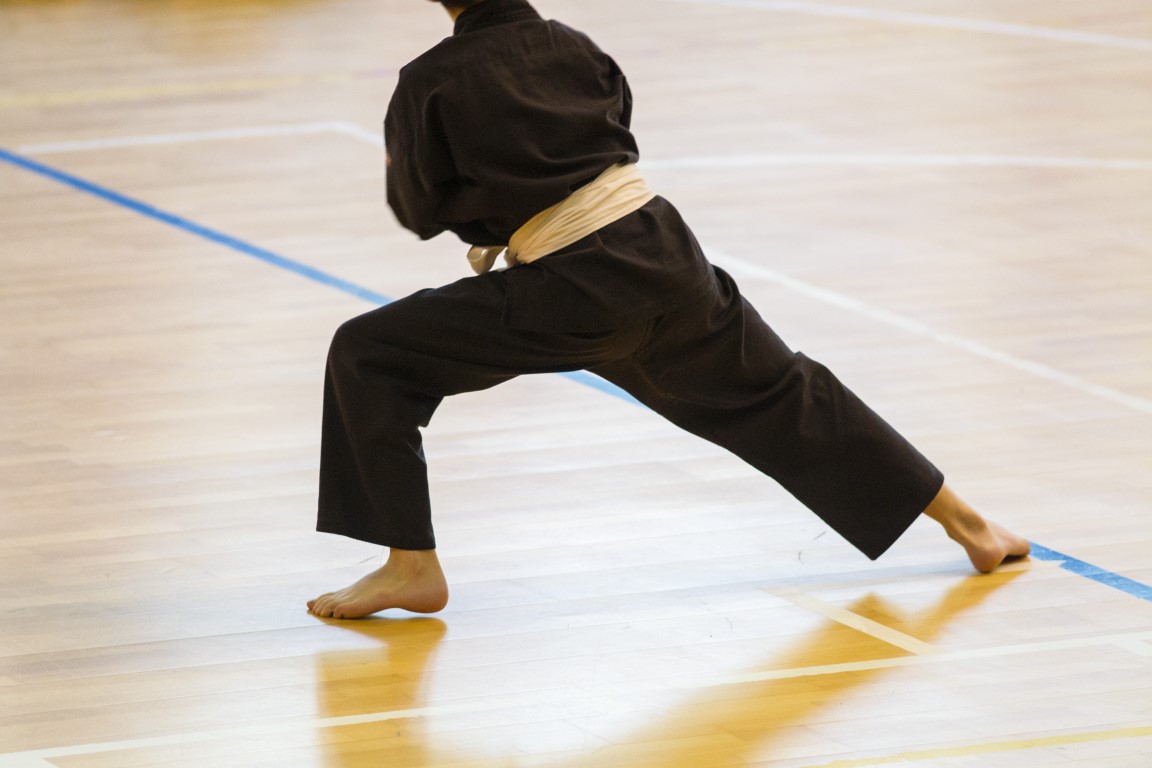 Test Your Knowledge of Vovinam: The Vietnamese Martial Art
