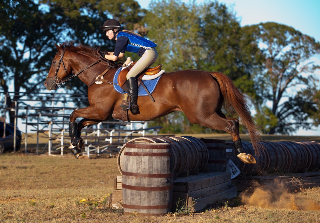 Barrel Jumping Challenge: Test Your Knowledge!