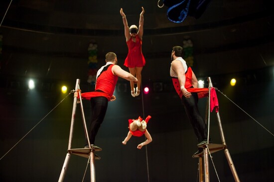 Putting Your Aerial Skills to the Test: The Trapeze Quiz