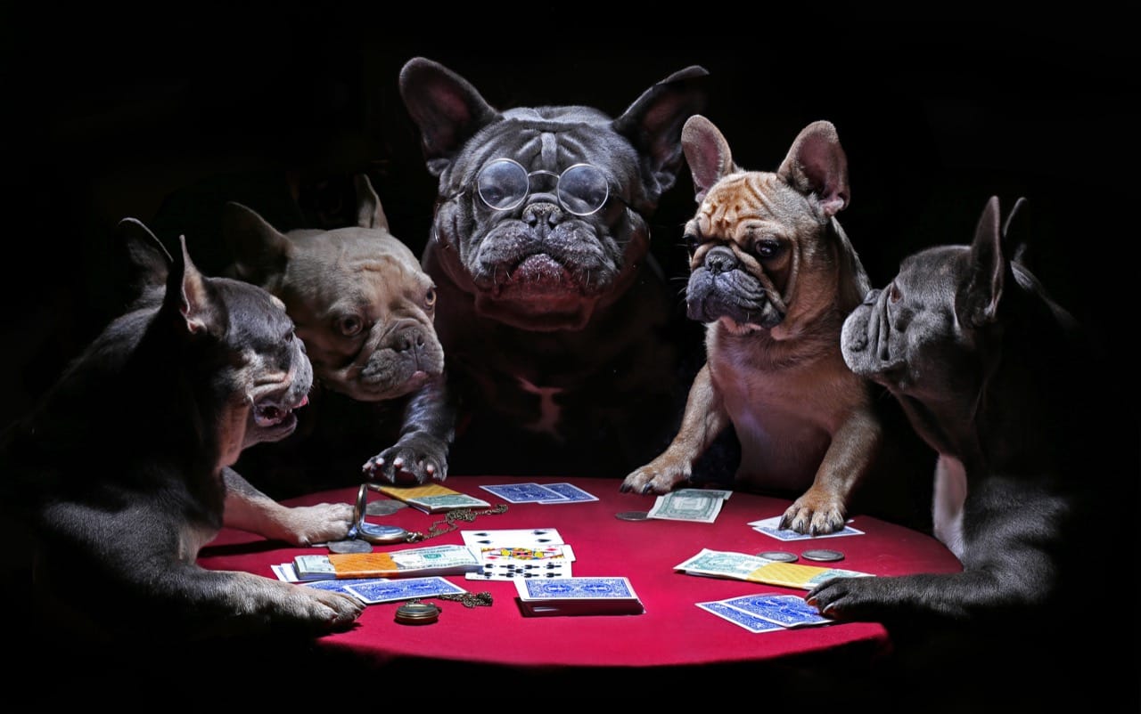 How Well Do You Know Your Card Games?