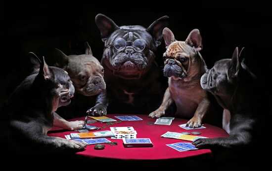 How Well Do You Know Your Card Games?