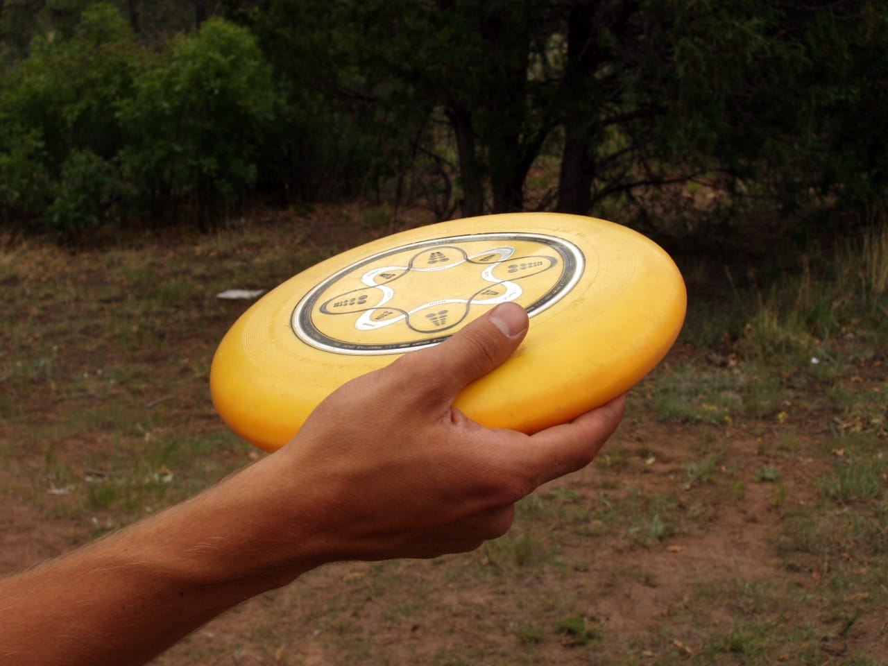 Ultimate Frisbee Quiz