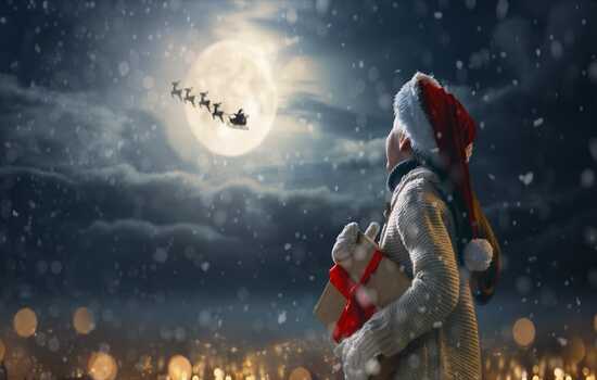 The Ultimate Santa's Reindeer Quiz