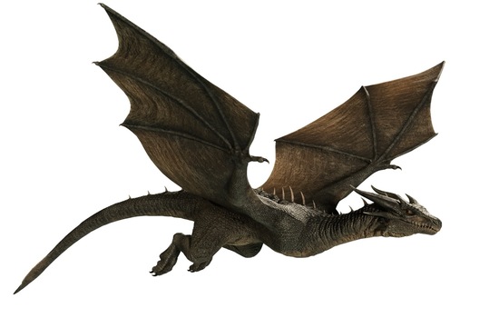 Wyverns Unleashed: A Mystical Creature Quiz