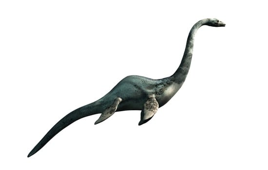 The Mysteries of Ogopogo: A Trivia Challenge