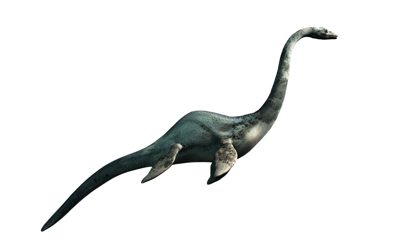The Mysteries of Ogopogo: A Trivia Challenge