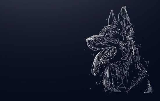 Shepherd Sleuths: Cracking the Code of the German Shepherd