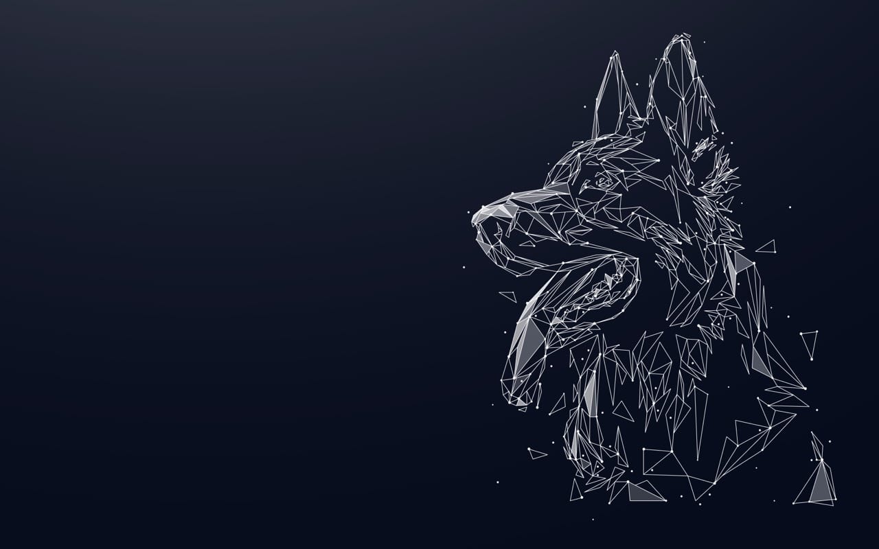 German Shepherd IQ Check: How Well Do You Really Know This Powerhouse Pup?