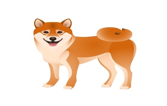 Shiba Sensei: The Foxy Dog Essentials Challenge