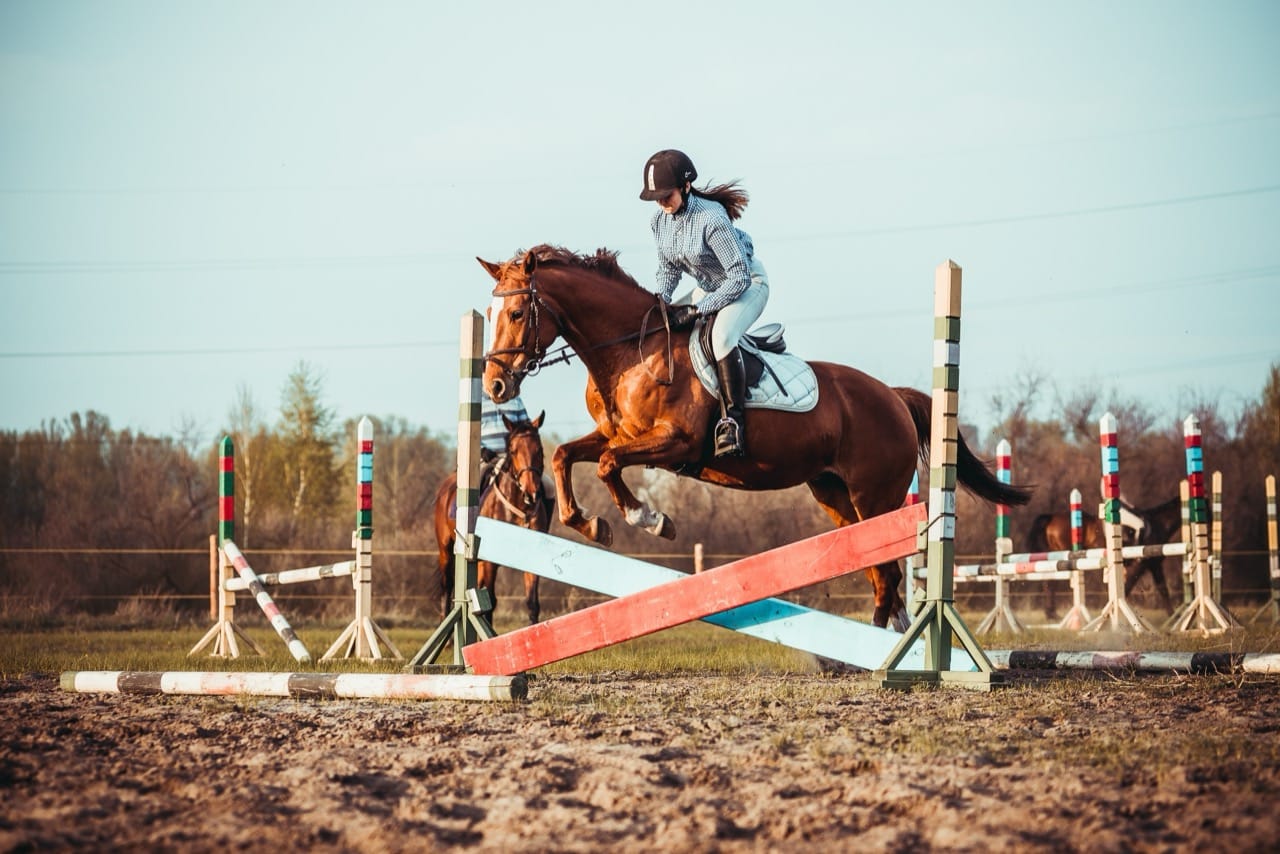 Hoofbeats and Brainwaves: The Ultimate Horse Trivia Showdown