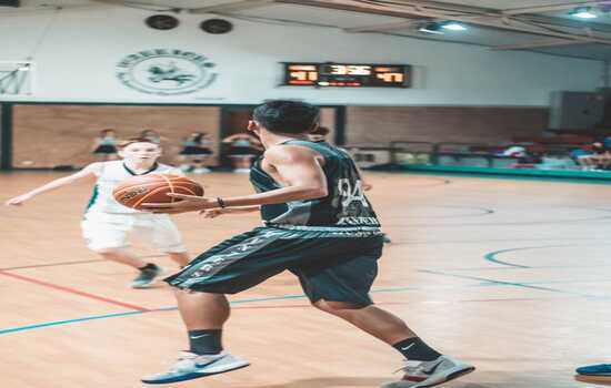 Hardwood Legends and High-Arc Mysteries