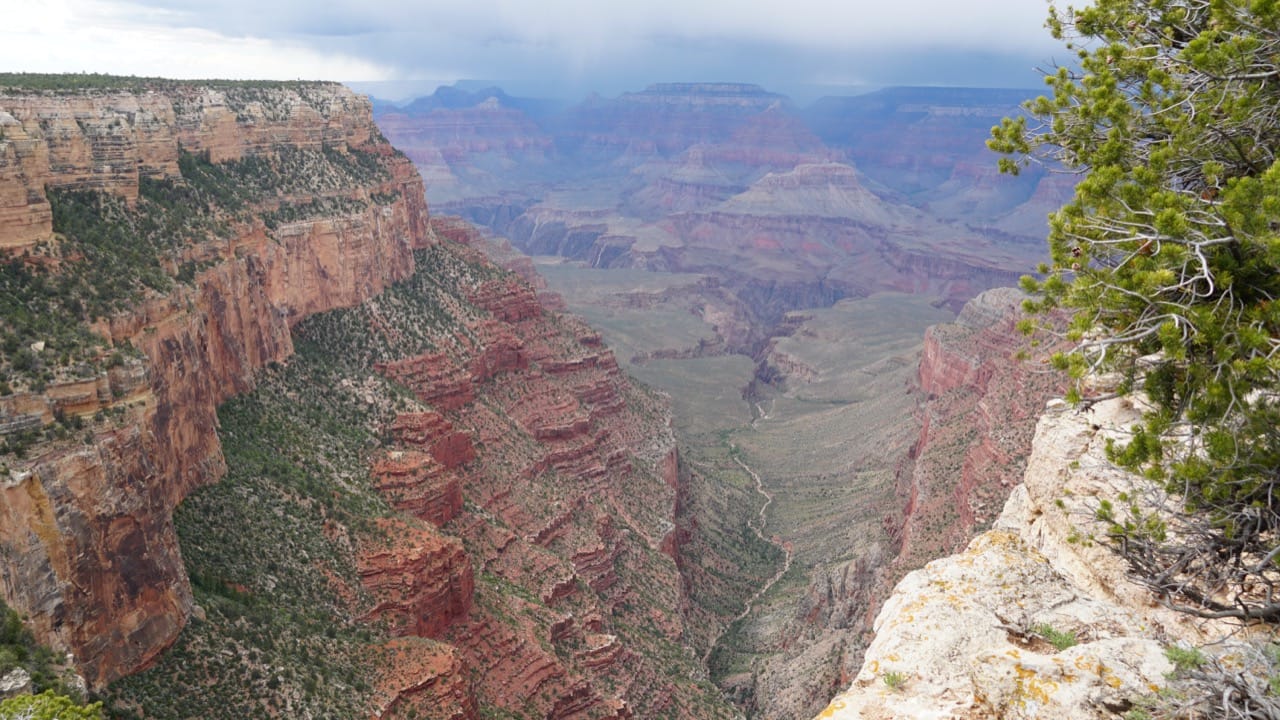 Earth’s Hidden Blueprint Quiz