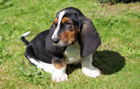 Low-Rider Soul Quiz: Which Scent-Led Side Are You?