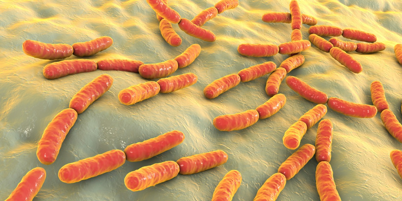What Do You Know About Bacteria?