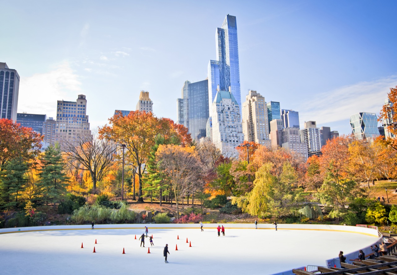 "If You Can Make It There, You Can Make It Anywhere!"    Sports Teams in New York